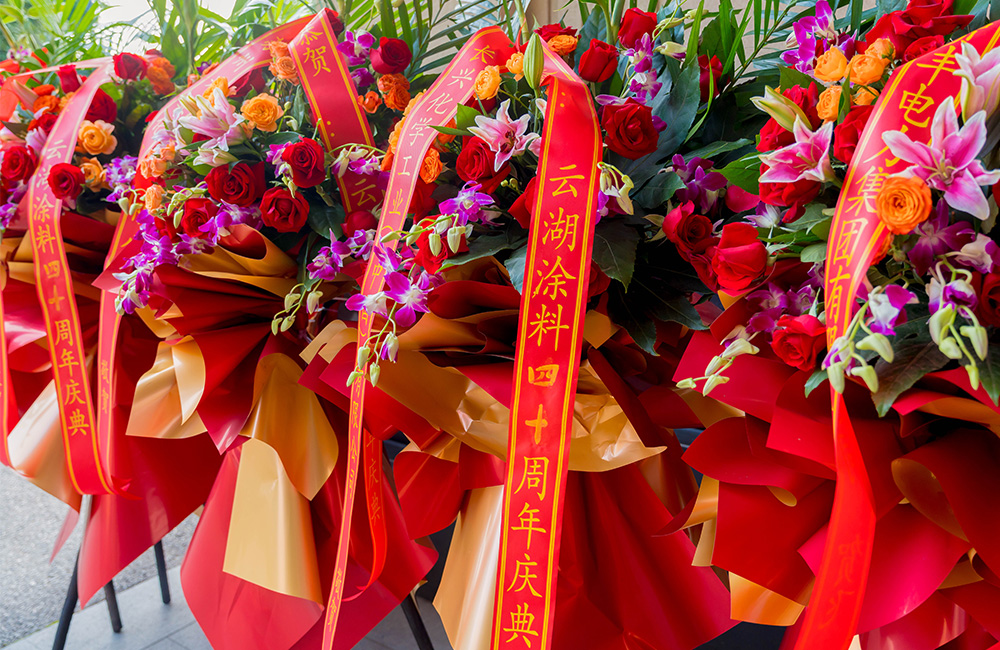 照片合集