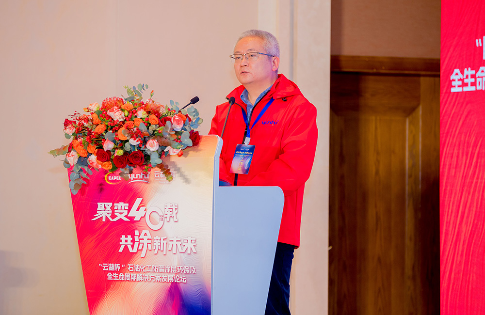 照片合集